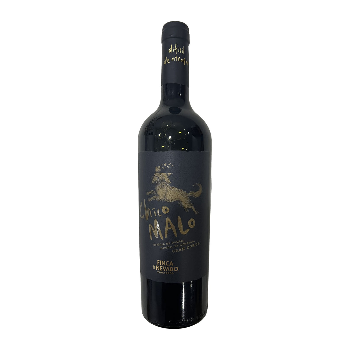 Chico Malo Gran Corte
