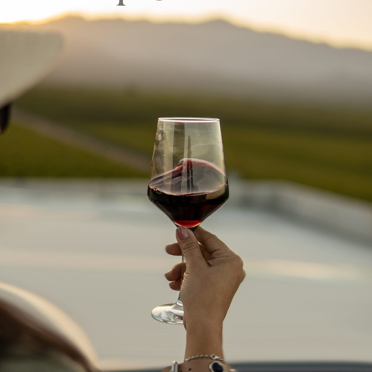 Festivo Malbec