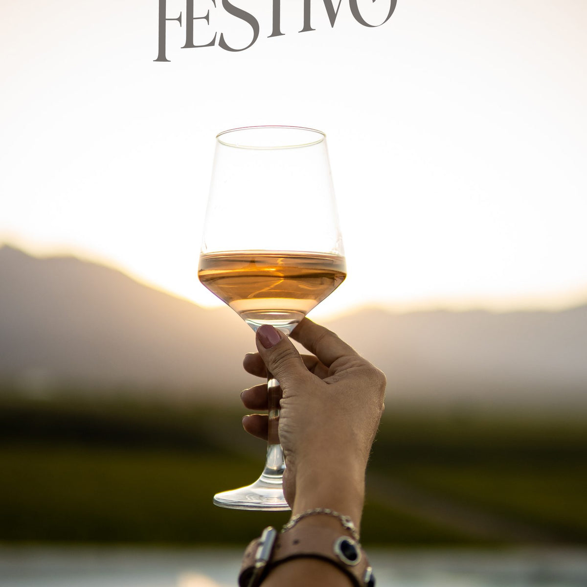 Festivo Rosé